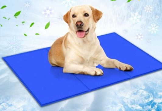 Alfombra de gel refrescante para mascota 90x50cm